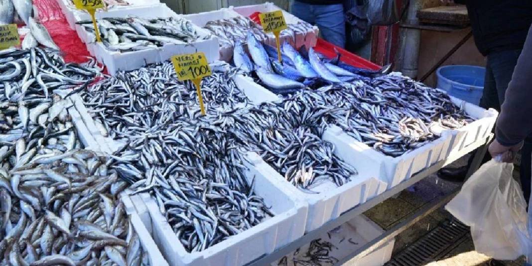 Fiyatı düştü, duyan koştu! Tezgahlarda 80 liradan kapış kapış satılıyor: Palamudun tahtını bile salladı 3